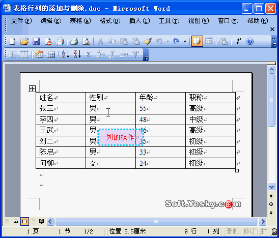 动画图解:Word表格行列的添加与删除